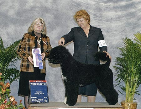 Brella - BOB at Reno KC