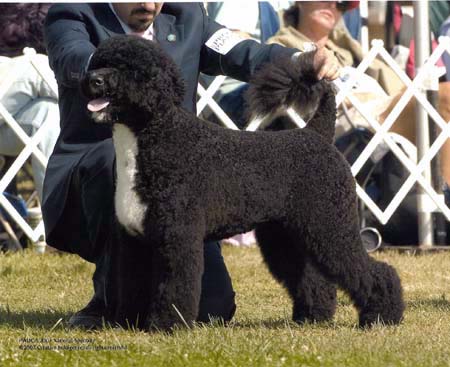 Duffy - 2007 Specialty