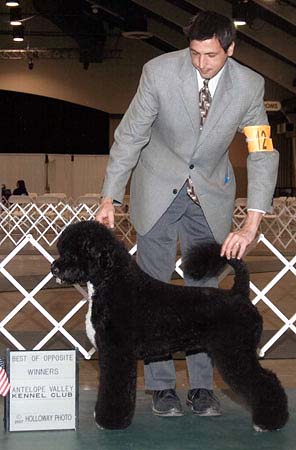 Duffy - So. Cal Supported Entry