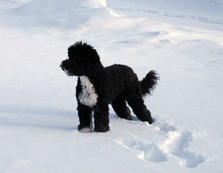 Jasmine - Fun in the Snow